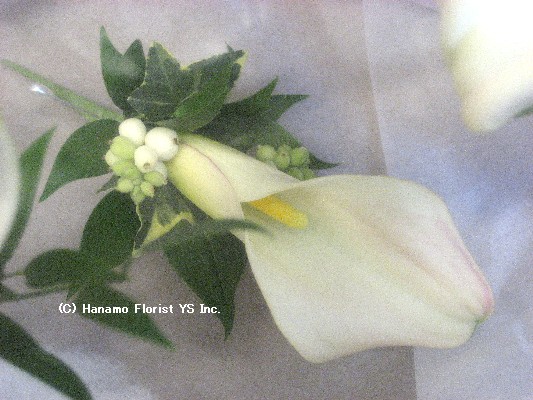 CORS007 White Calla Boutonniere (simple)